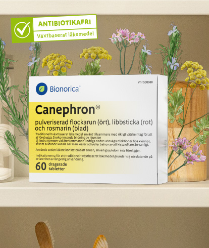 Canephron – en behandling för urinvägsinfektion